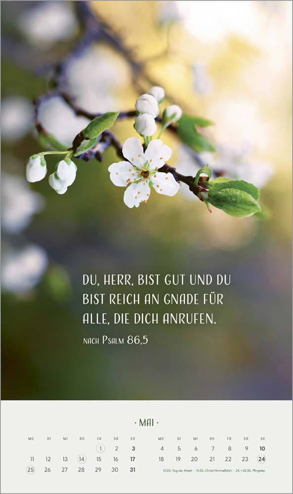 Zarte Blumengrüße 2026 - Wandkalender