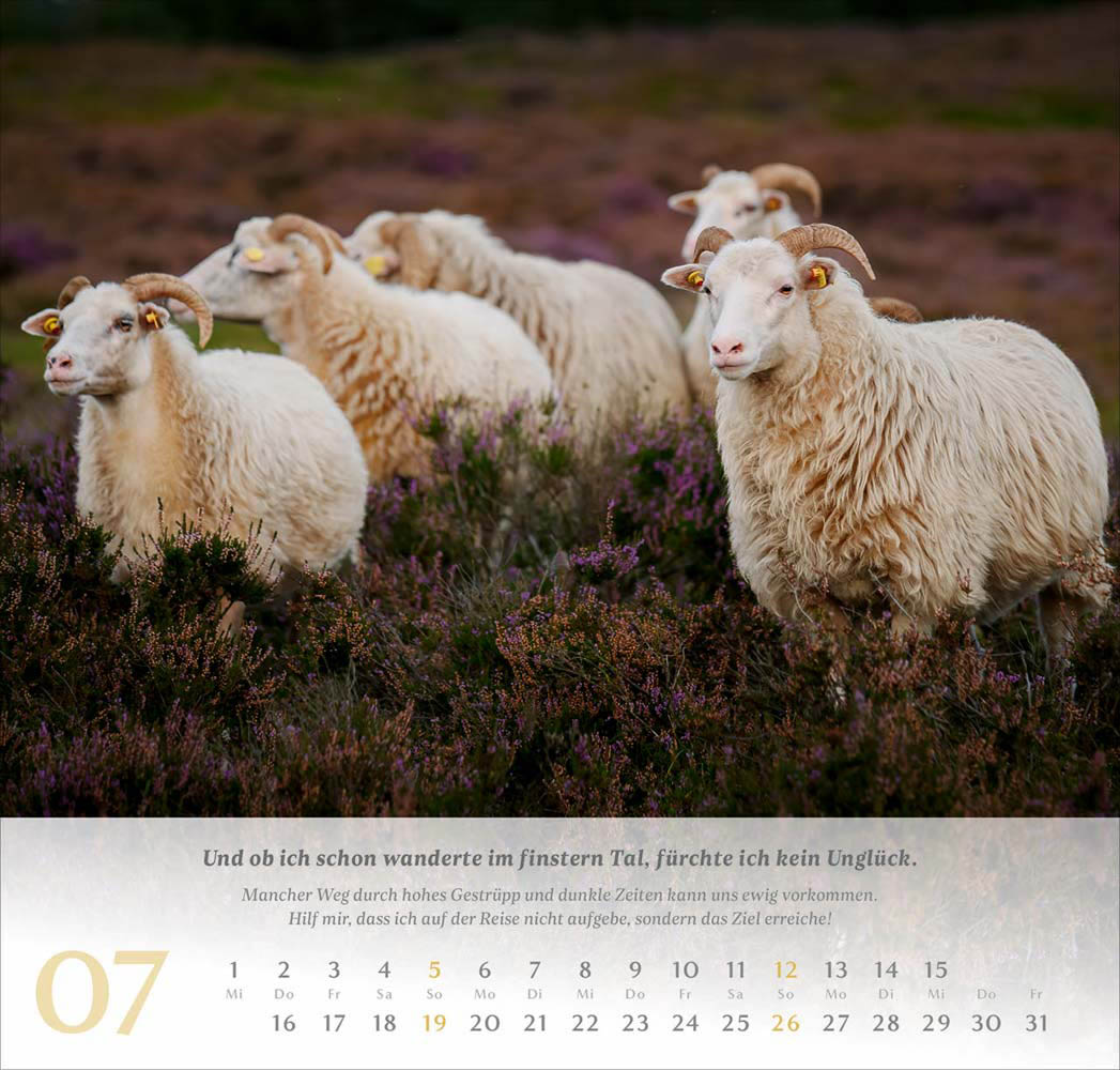 Psalm 23 - Wandkalender 2026