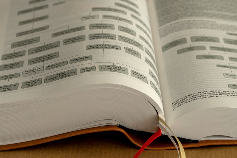 Elberfelder Bibel 2006 Studienausgabe - Kunstleder braun