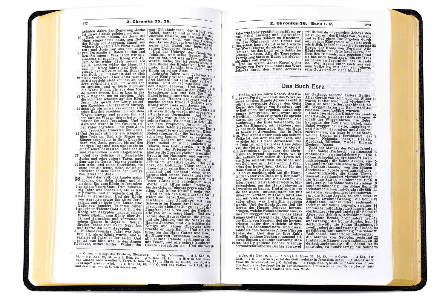 Elberfelder Bibel 1905 - Taschenausgabe (Perlbibel)