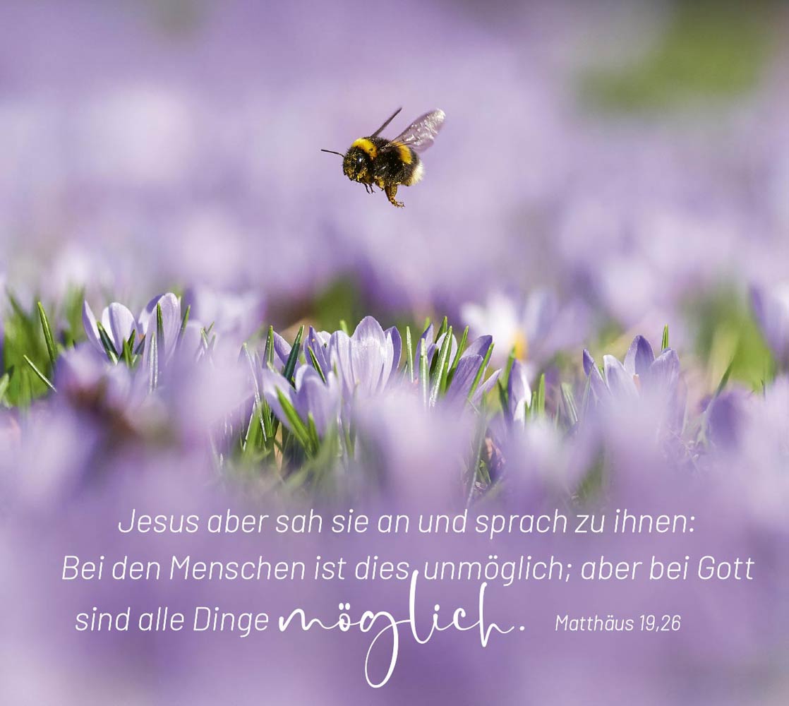 Geborgen in Gottes Hand - Aufstellbuch