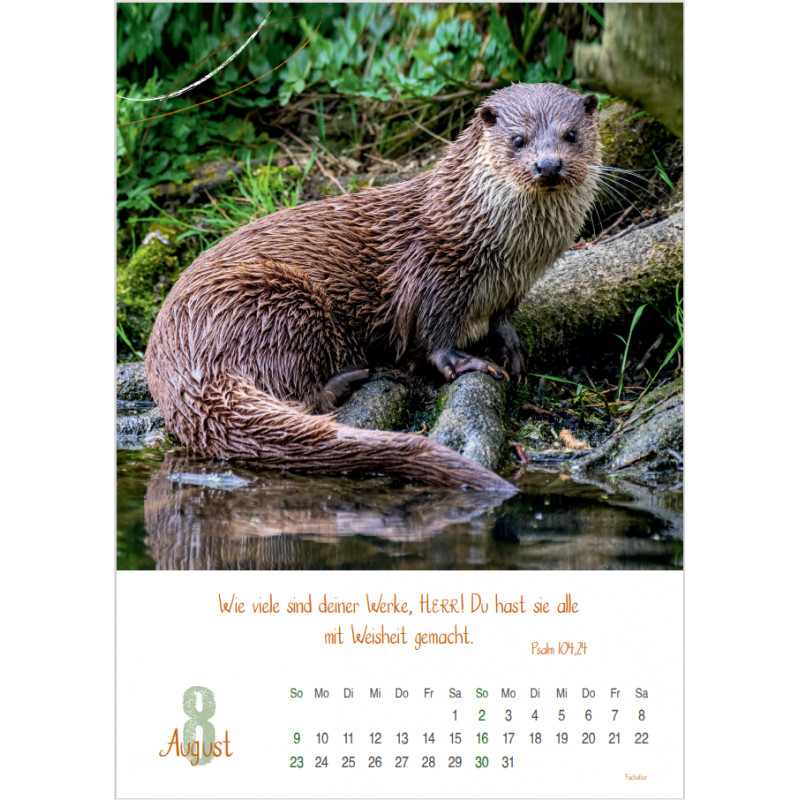 Natur 2026 - Fotokalender