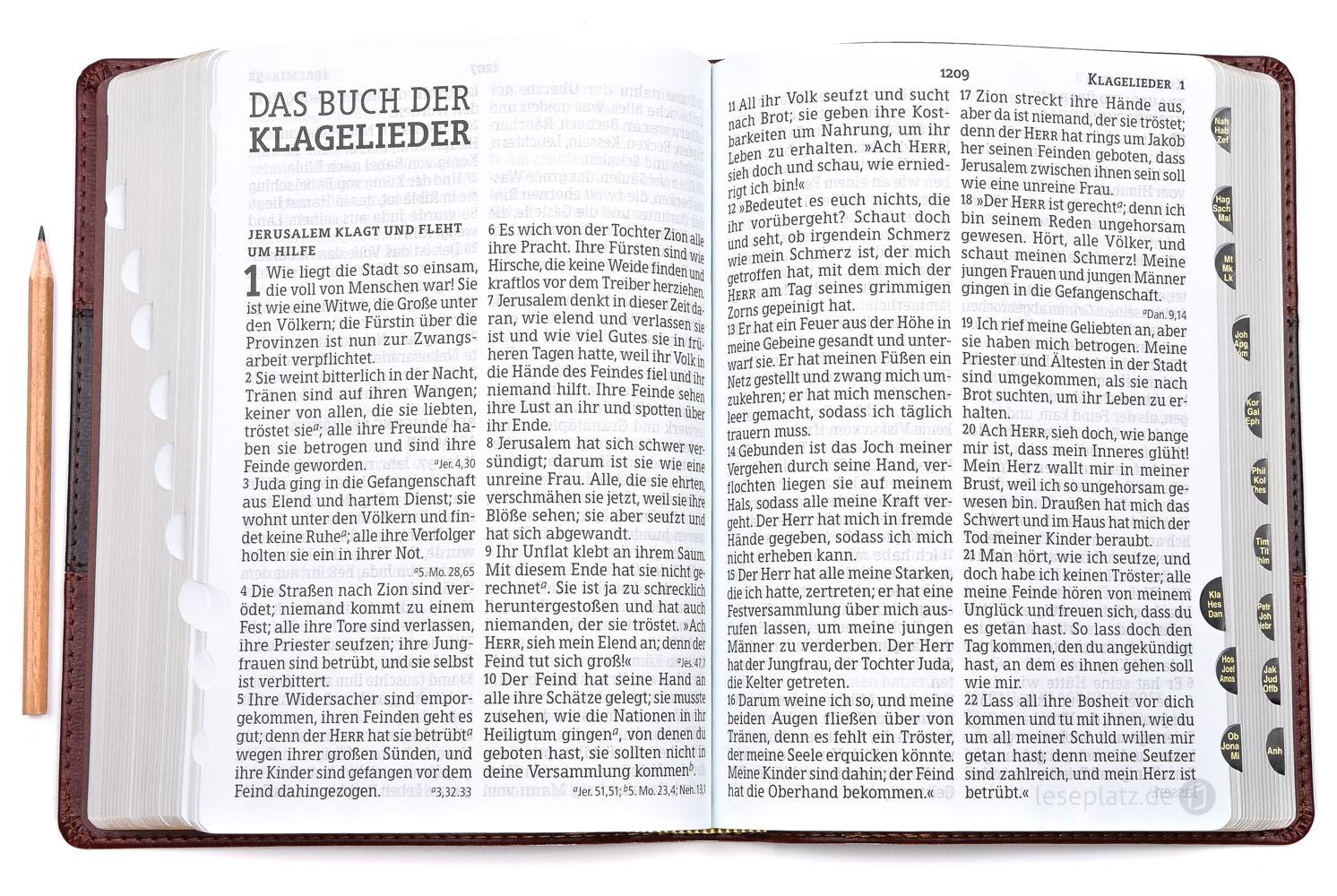 Luther21 - Großdruckausgabe - Kunstleder braun/schwarz/braun