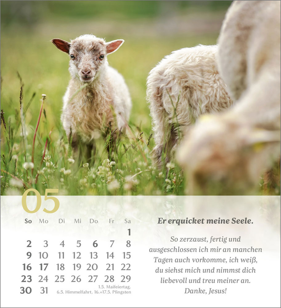 Psalm 23 - Tischkalender 2027