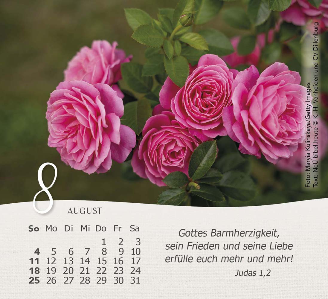 Rosen 2024 - Tischkalender Rosen 2024 - Tischkalender