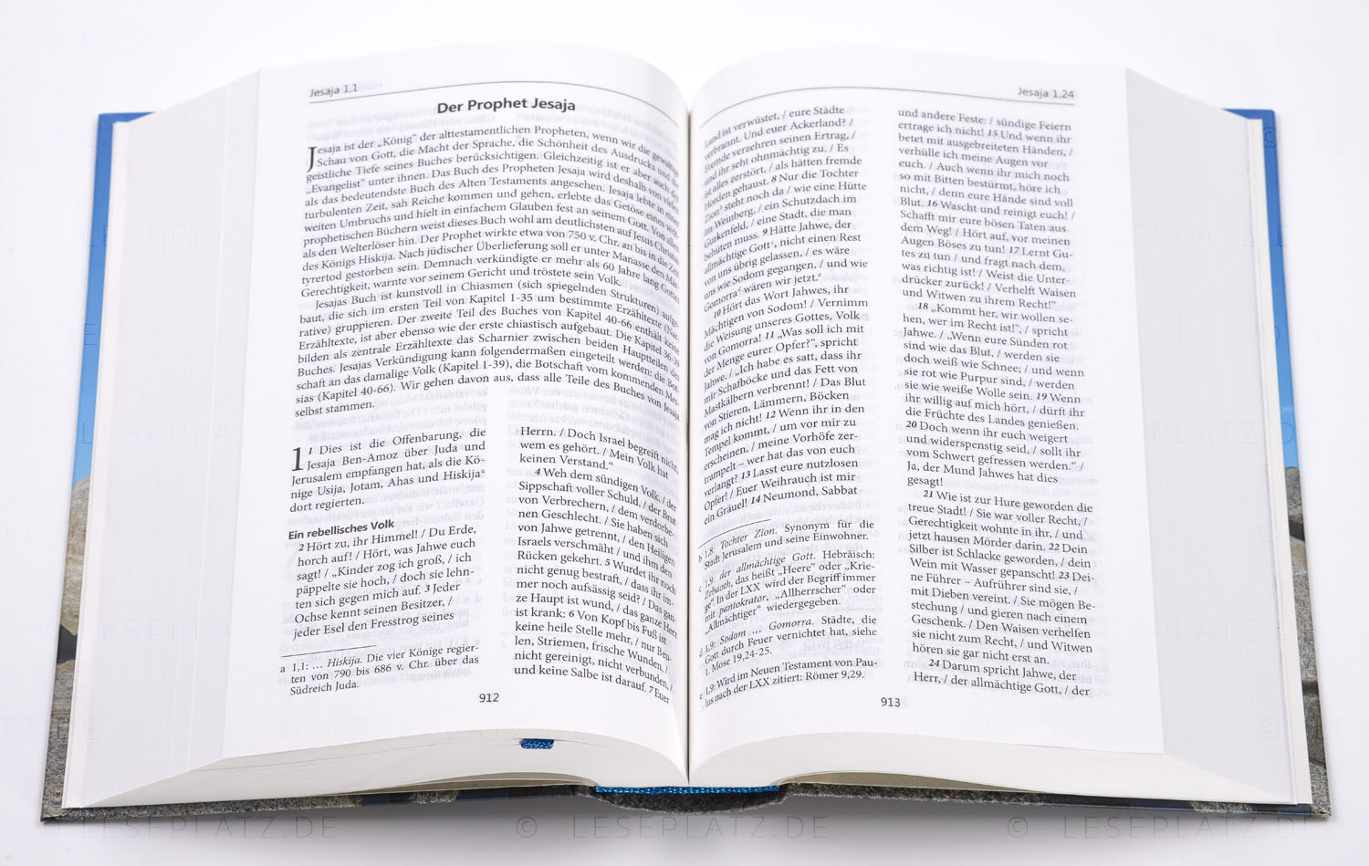 271315_06 NeÜ - Taschenausgabe "Motiv Leuchtturm"