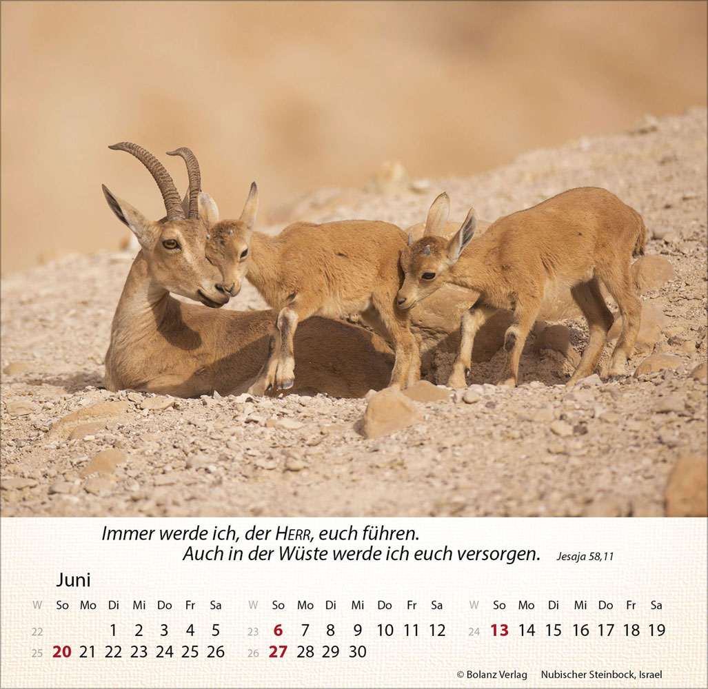 Israel Shalom 2027 - Tischkalender