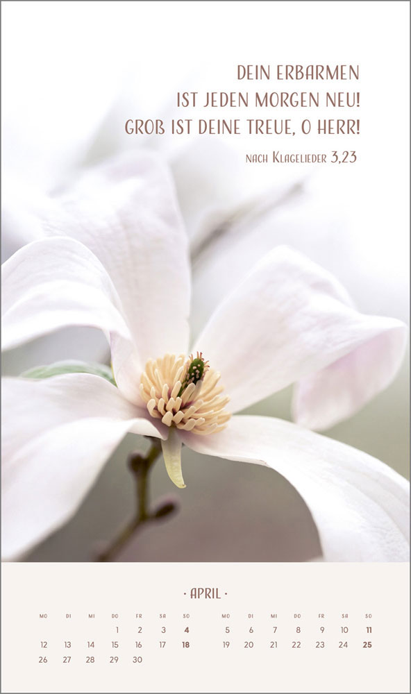 Zarte Blumengrüße 2027 - Wandkalender