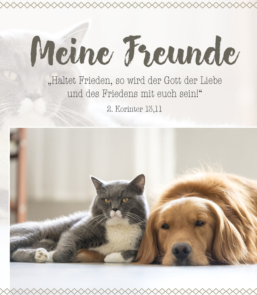 Meine Freunde - Freundebuch