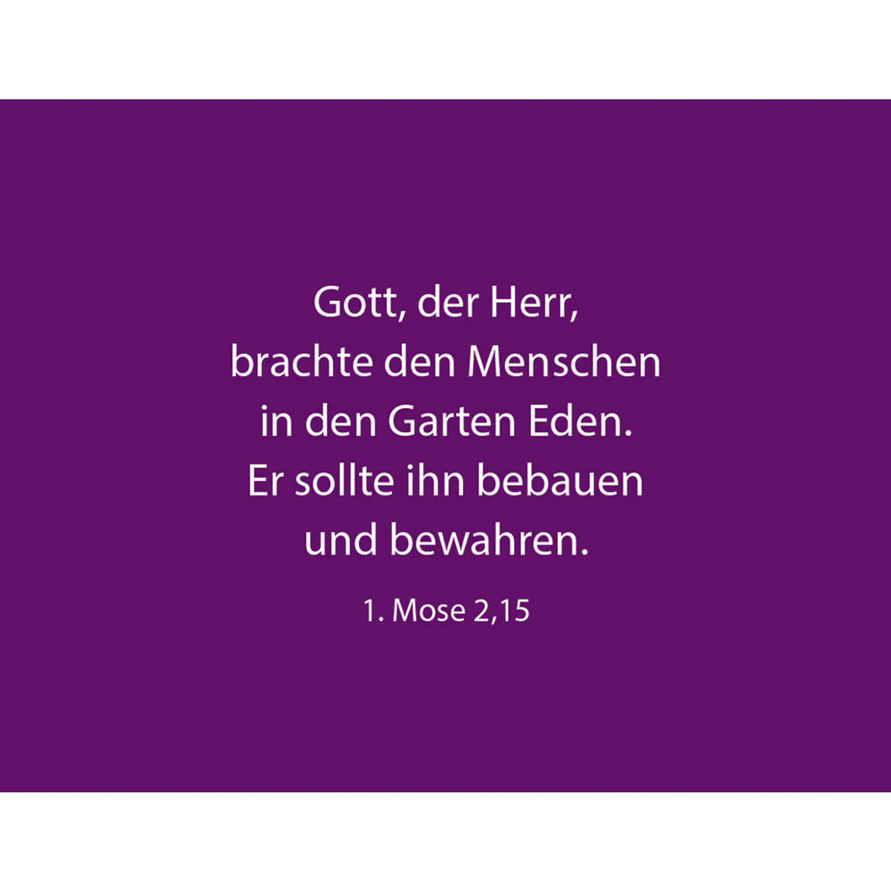 50 Dinge, die Gott an dir liebt - Textkartenbox