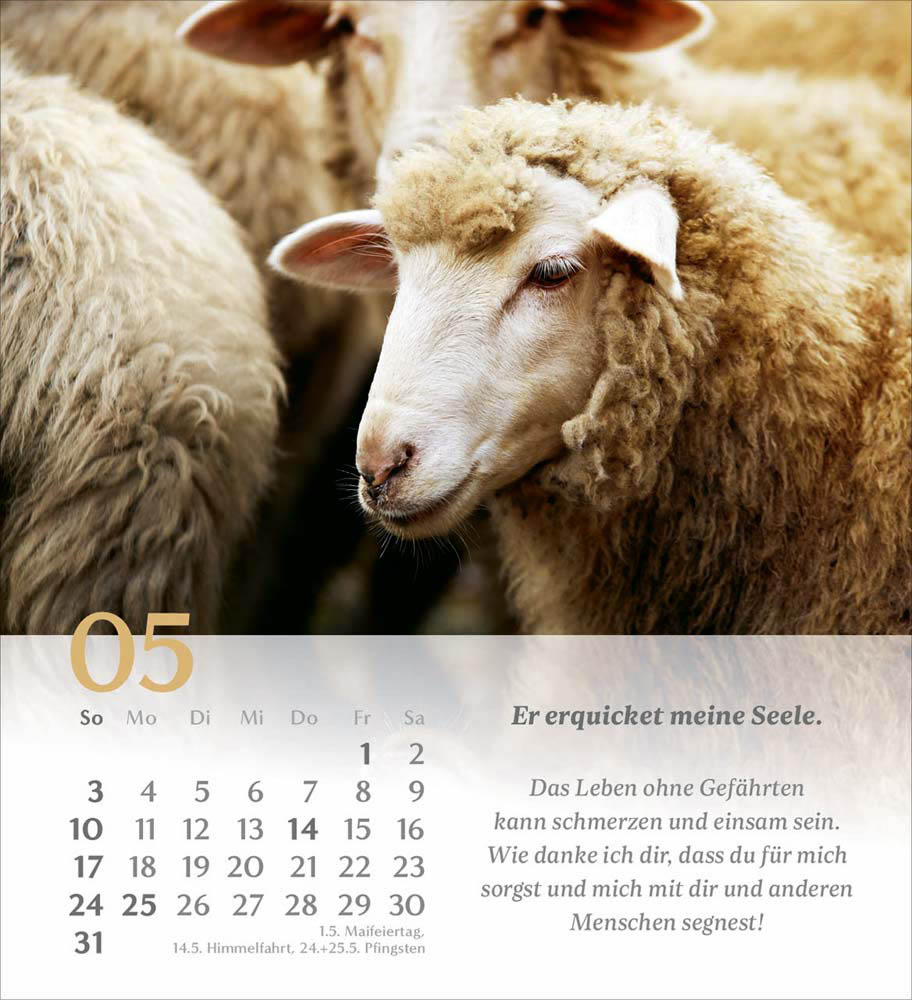 Psalm 23 - Tischkalender 2026