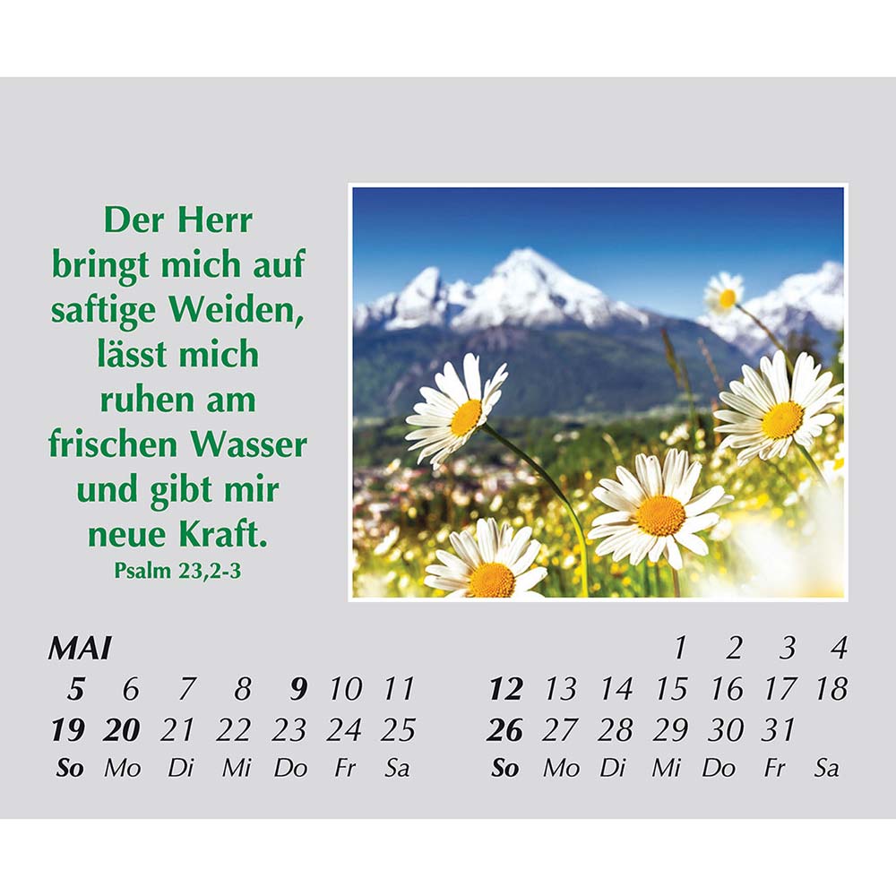 Freude für jeden Tag 2024 Freude für jeden Tag 2024