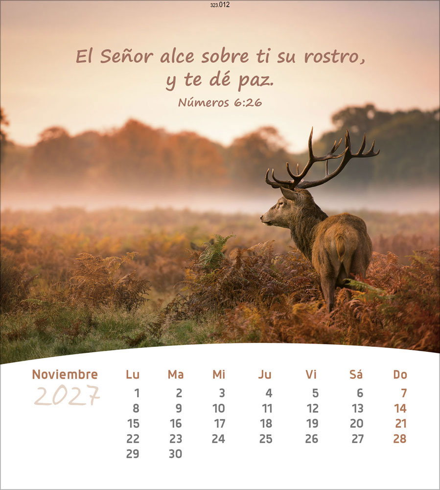 Leben für Dich 2027 - Verteilkalender (Spanisch)