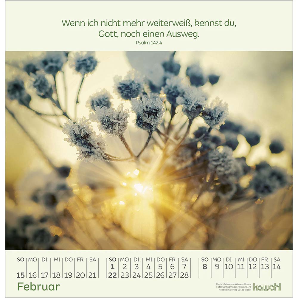 Blumengrüße 2026 - Wandkalender