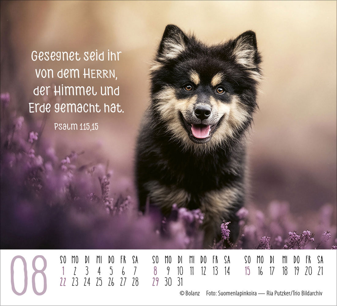 Hunde 2027 - Minikalender