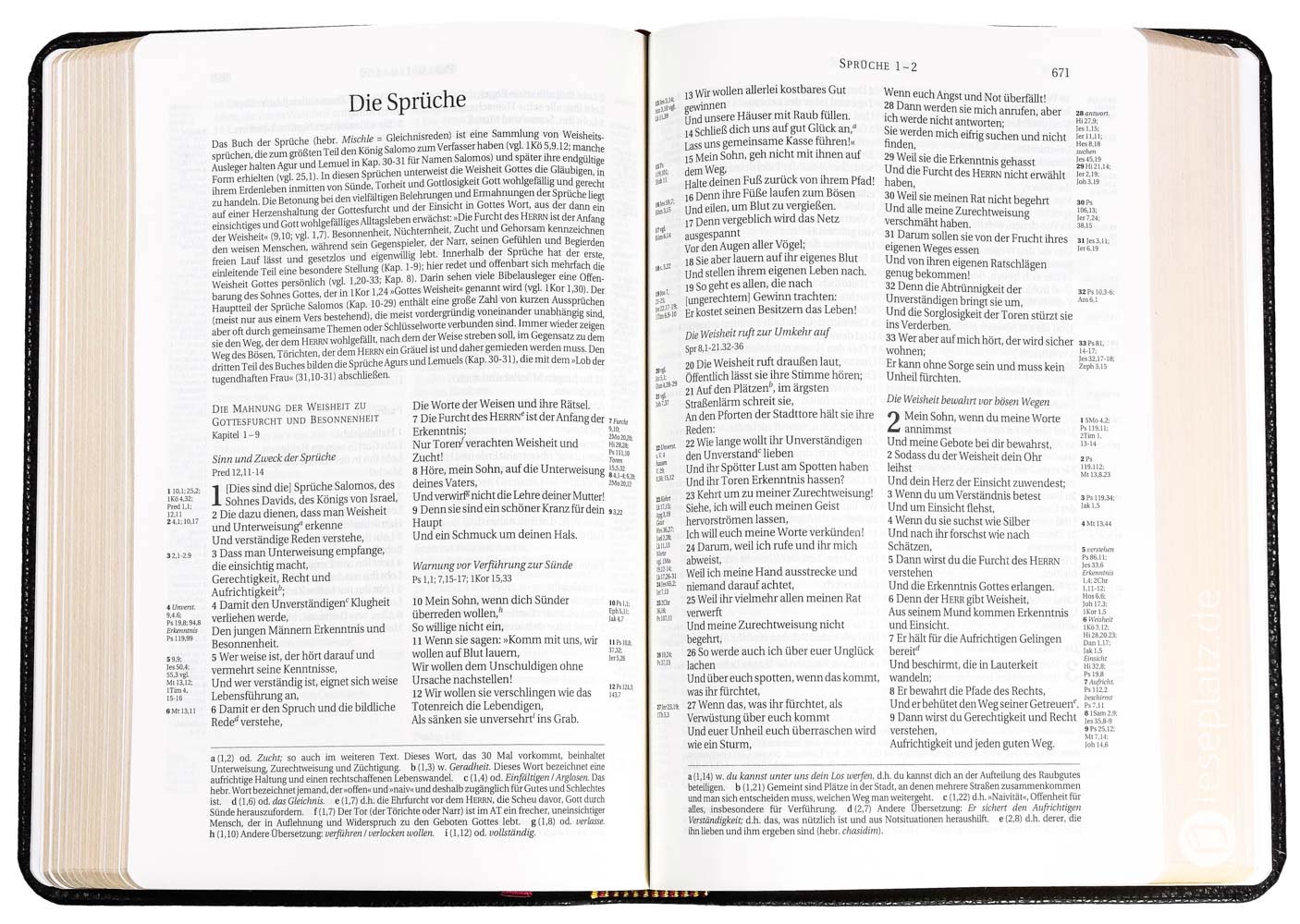 Schlachter 2000 Taschenausgabe - flex.Rindleder schwarz / Goldschnitt