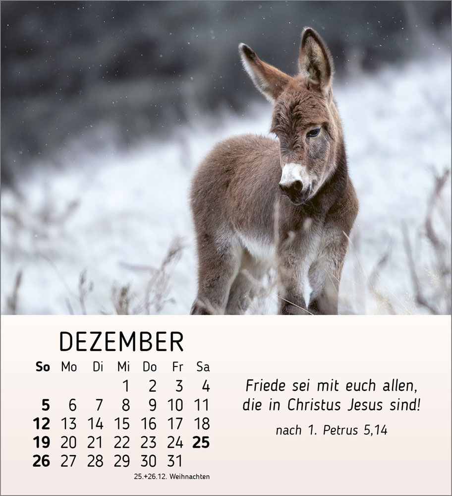 Meine kleinen Freunde 2027