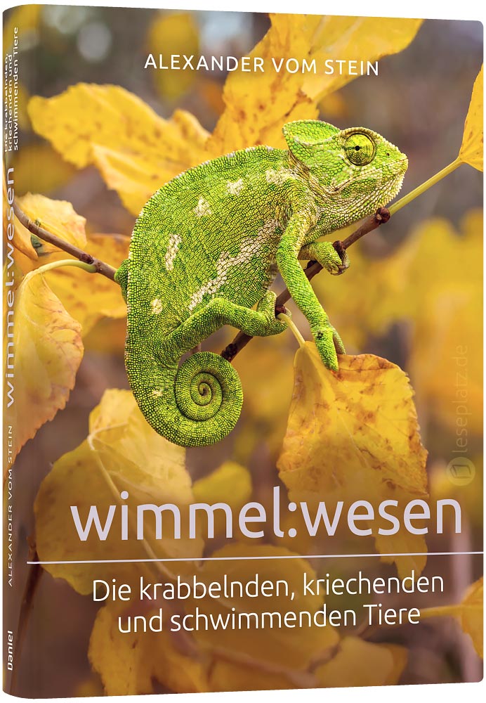 wimmel:wesen