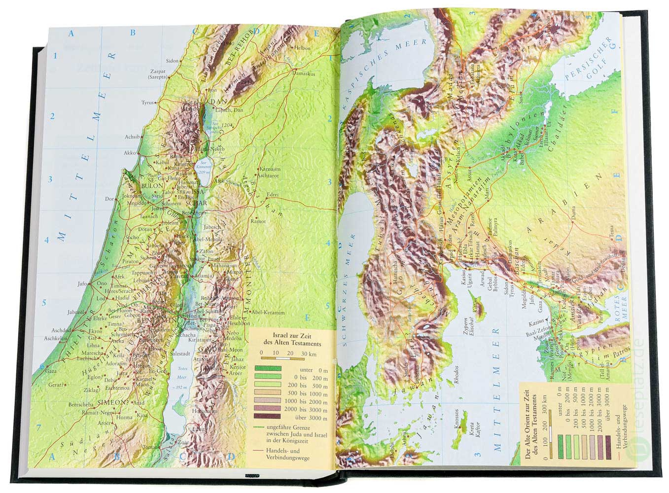 NeÜ - Standardausgabe "Motiv Schwert"