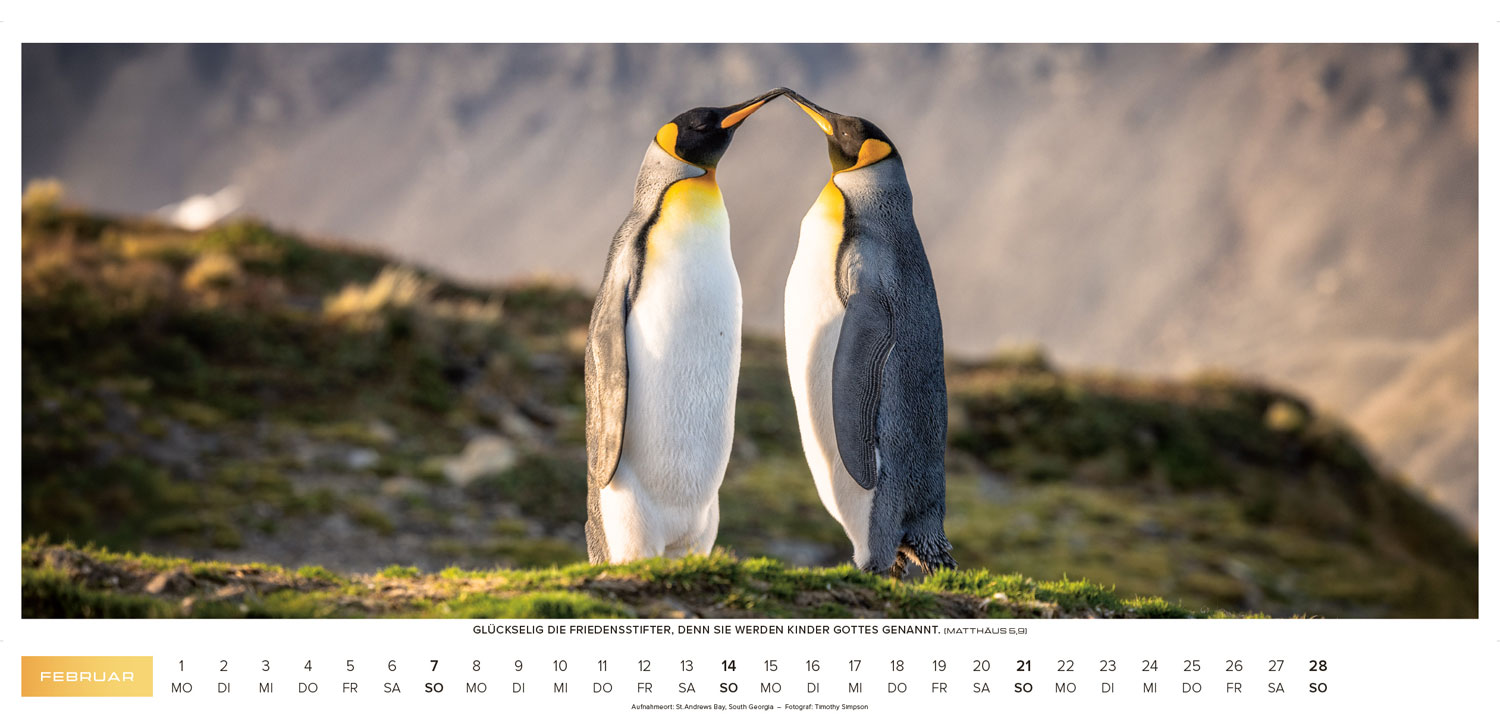 Life-is-more Panoramakalender XL 2027