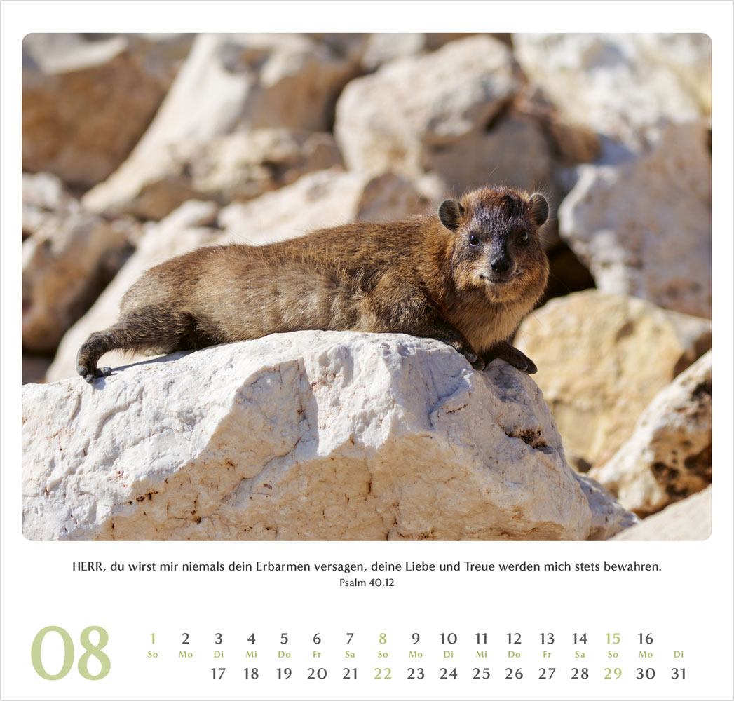 Geliebtes Israel 2027 - Wandkalender