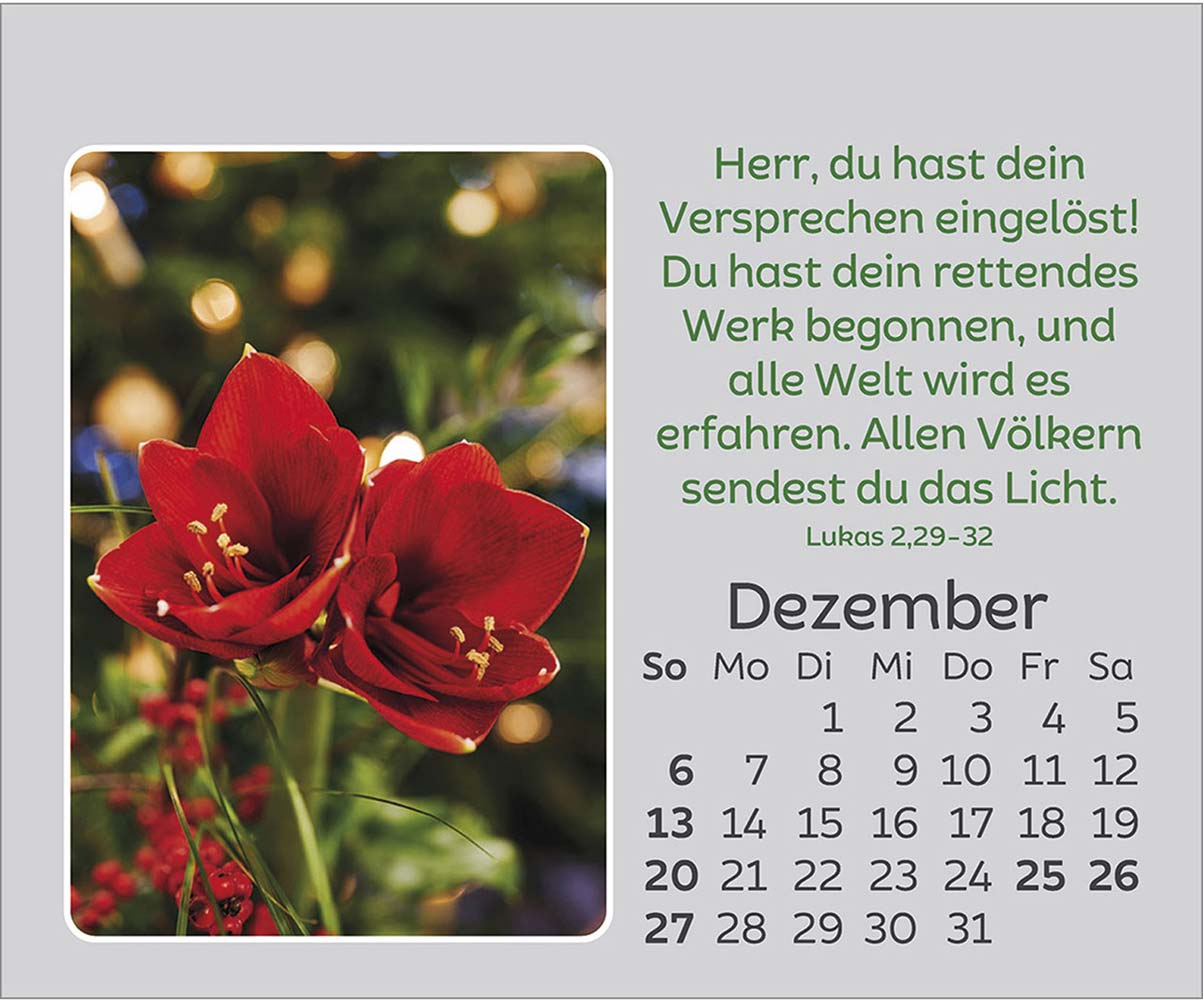 Freude für jeden Tag 2026 Freude für jeden Tag 2026
