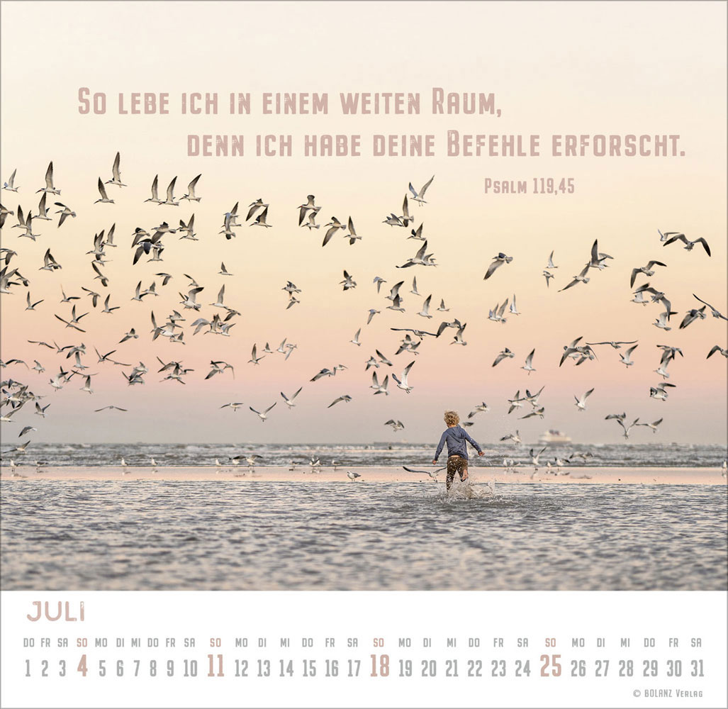 Freiheit 2027 - Tischkalender