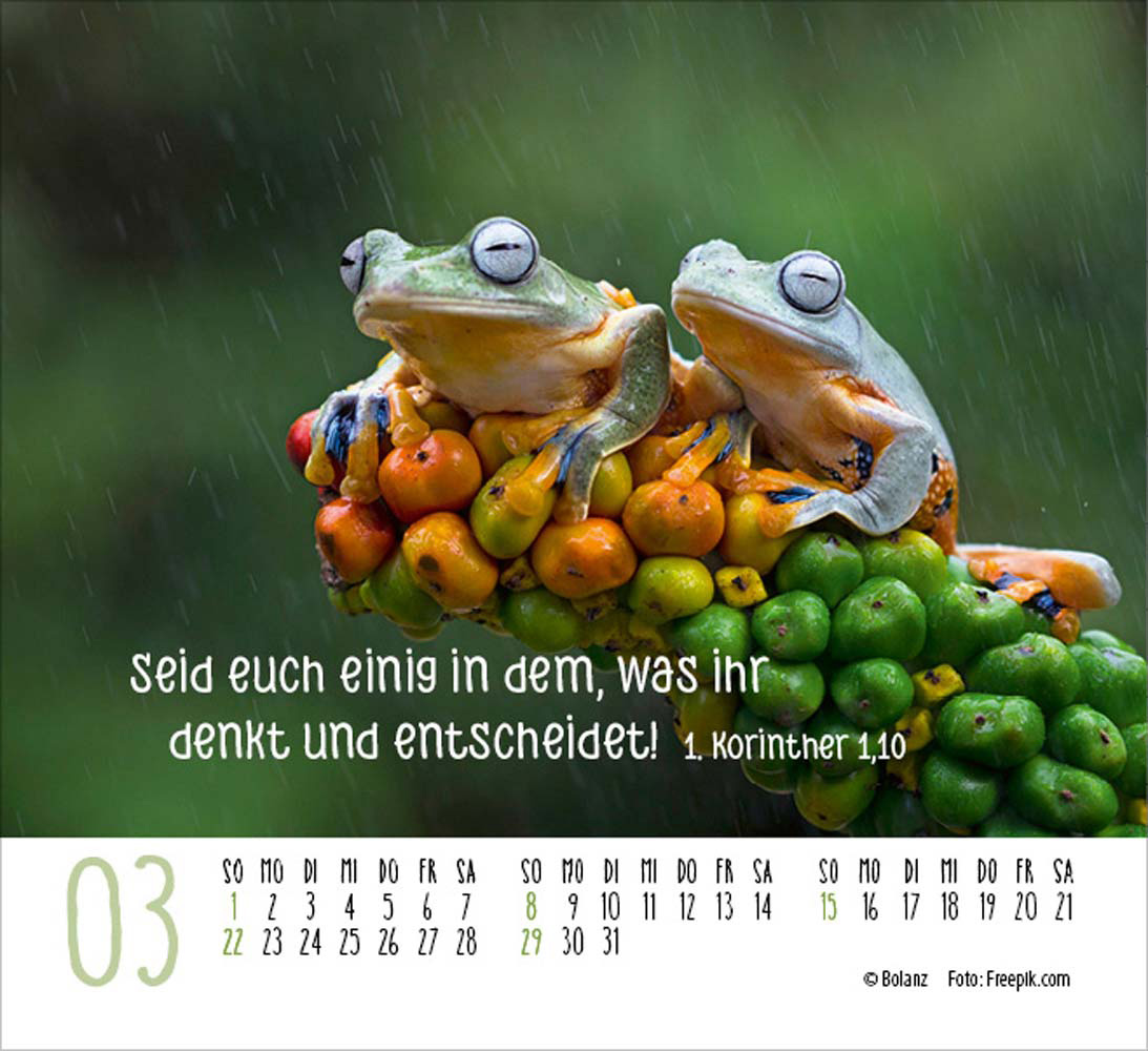 Begegnungen 2026 - Minikalender