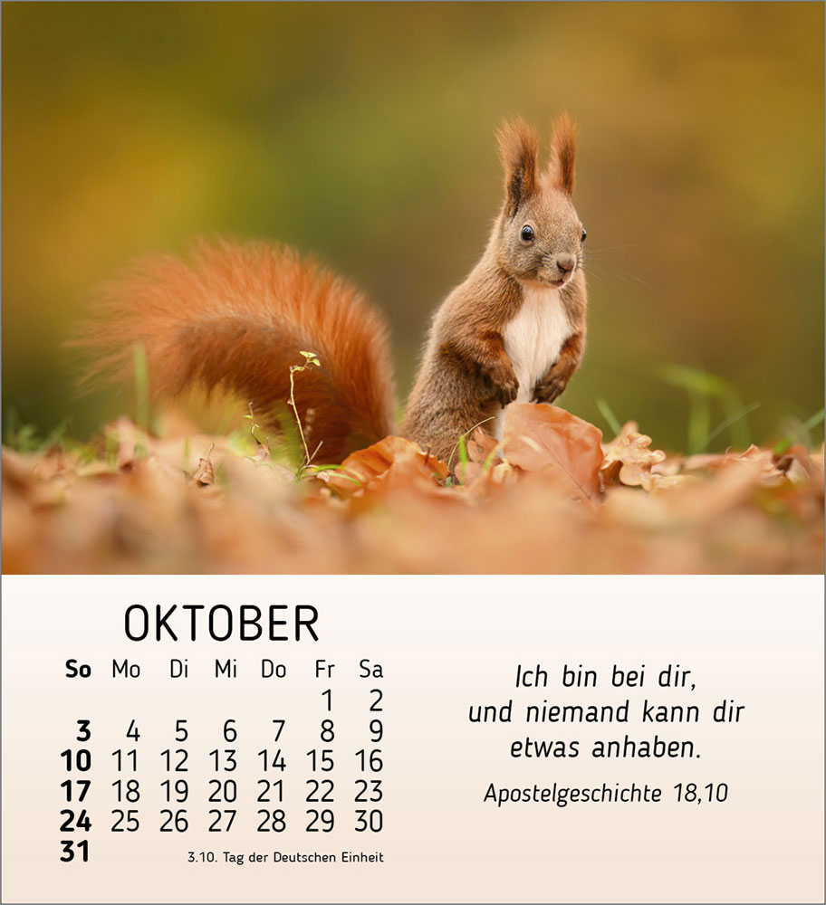 Meine kleinen Freunde 2027