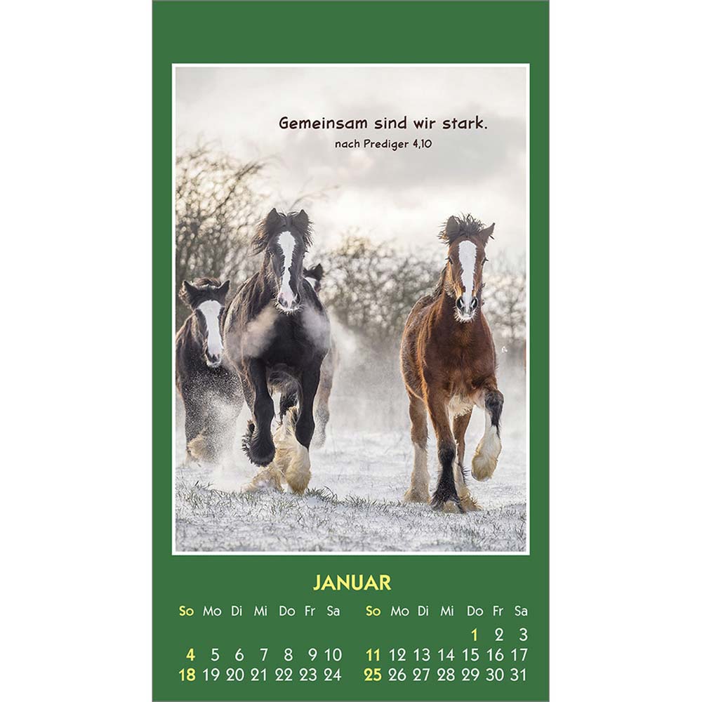 Hallo Du 2026 - Aufkleber-Kalender Hallo Du 2026 - Aufkleber-Kalender