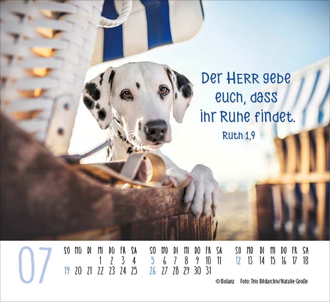 Hunde 2026 - Minikalender Hunde 2026 - Minikalender
