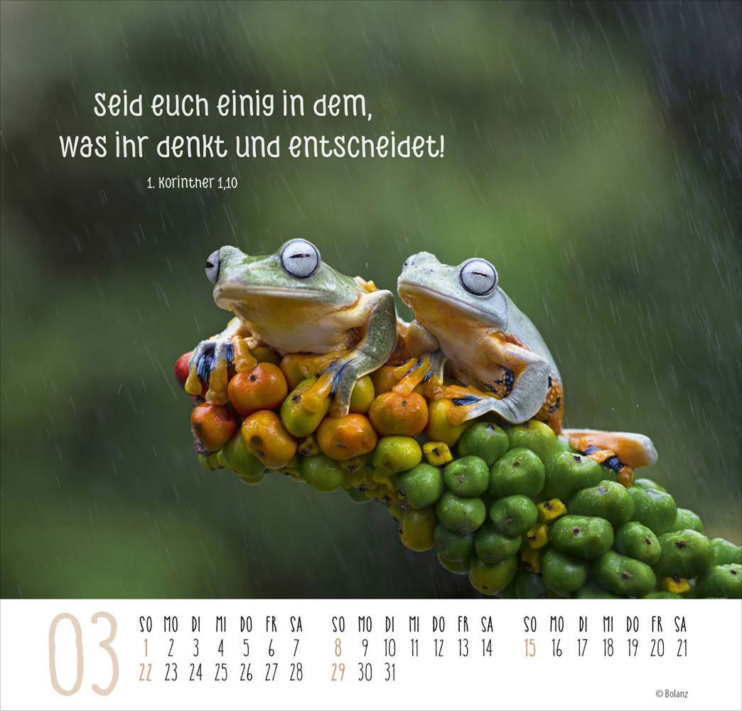 Beste Freunde - Ich mag dich  2026 - Posterkalender
