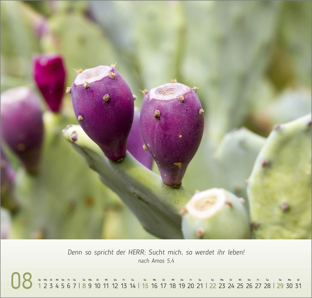 Gesichter der Natur 2027