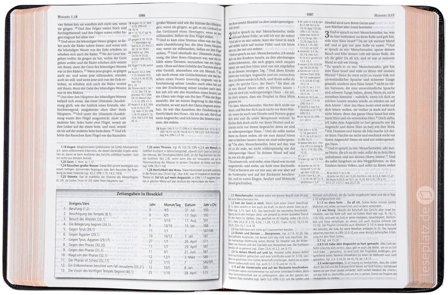 MacArthur Studienbibel - Kalbsleder / Rotgoldschnitt