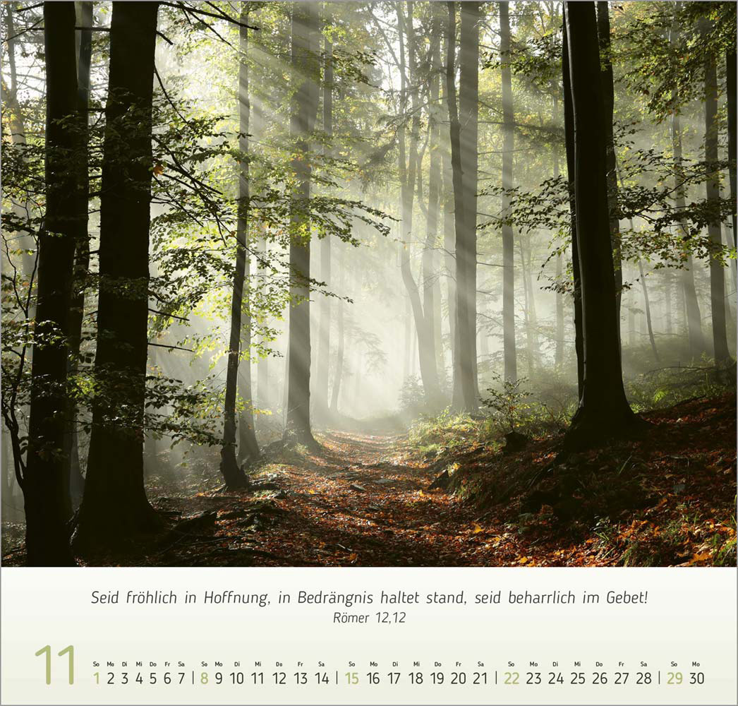 Impression Licht 2026