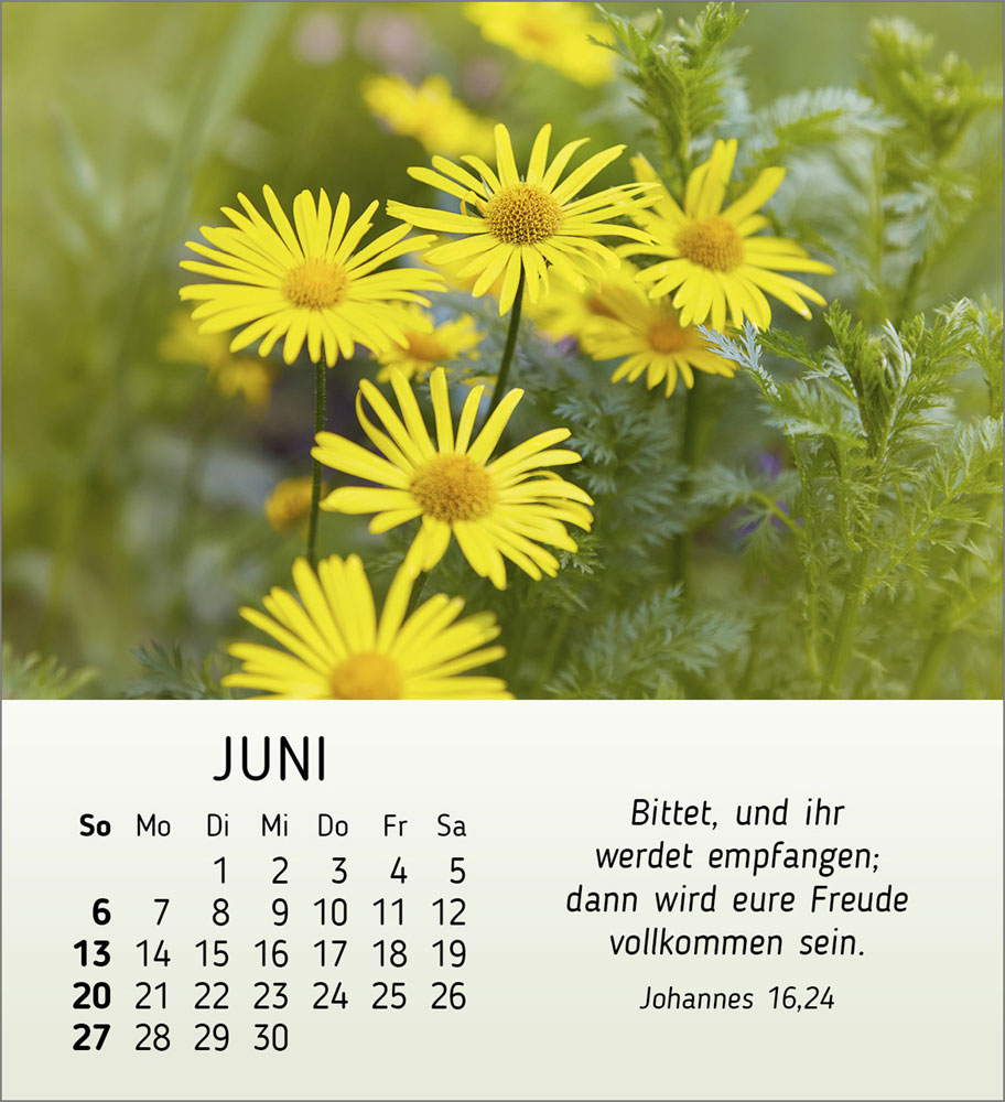 Ich wünsch Dir Freude 2027