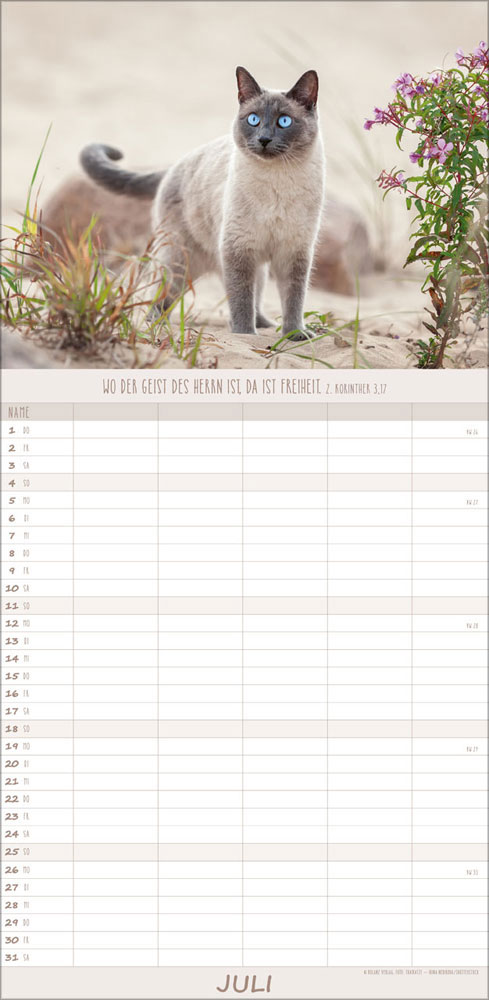 Familienplaner Katzen - 2027