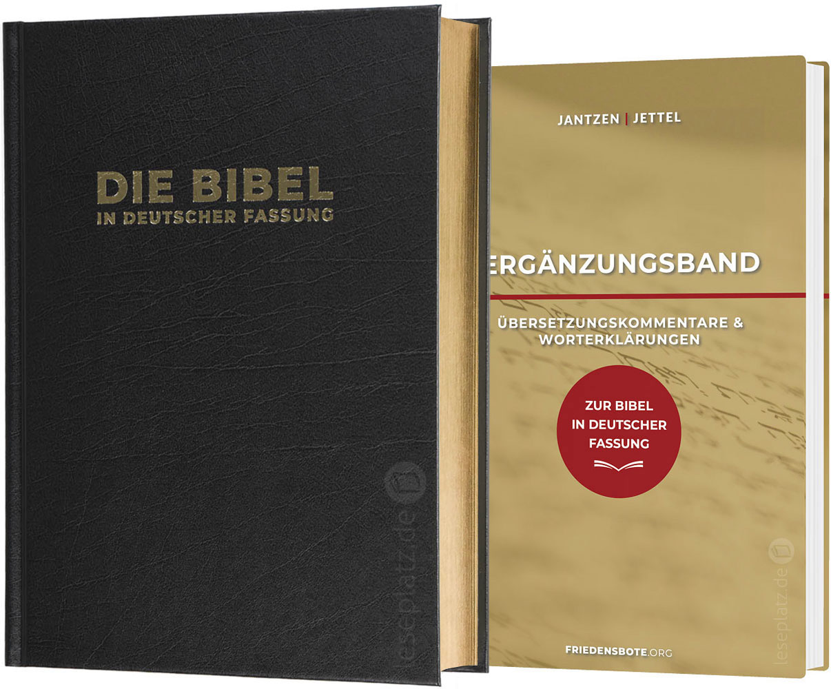 Bibel in deutscher Fassung - Hardcover Goldschnitt & Ergänzungsband - Paket