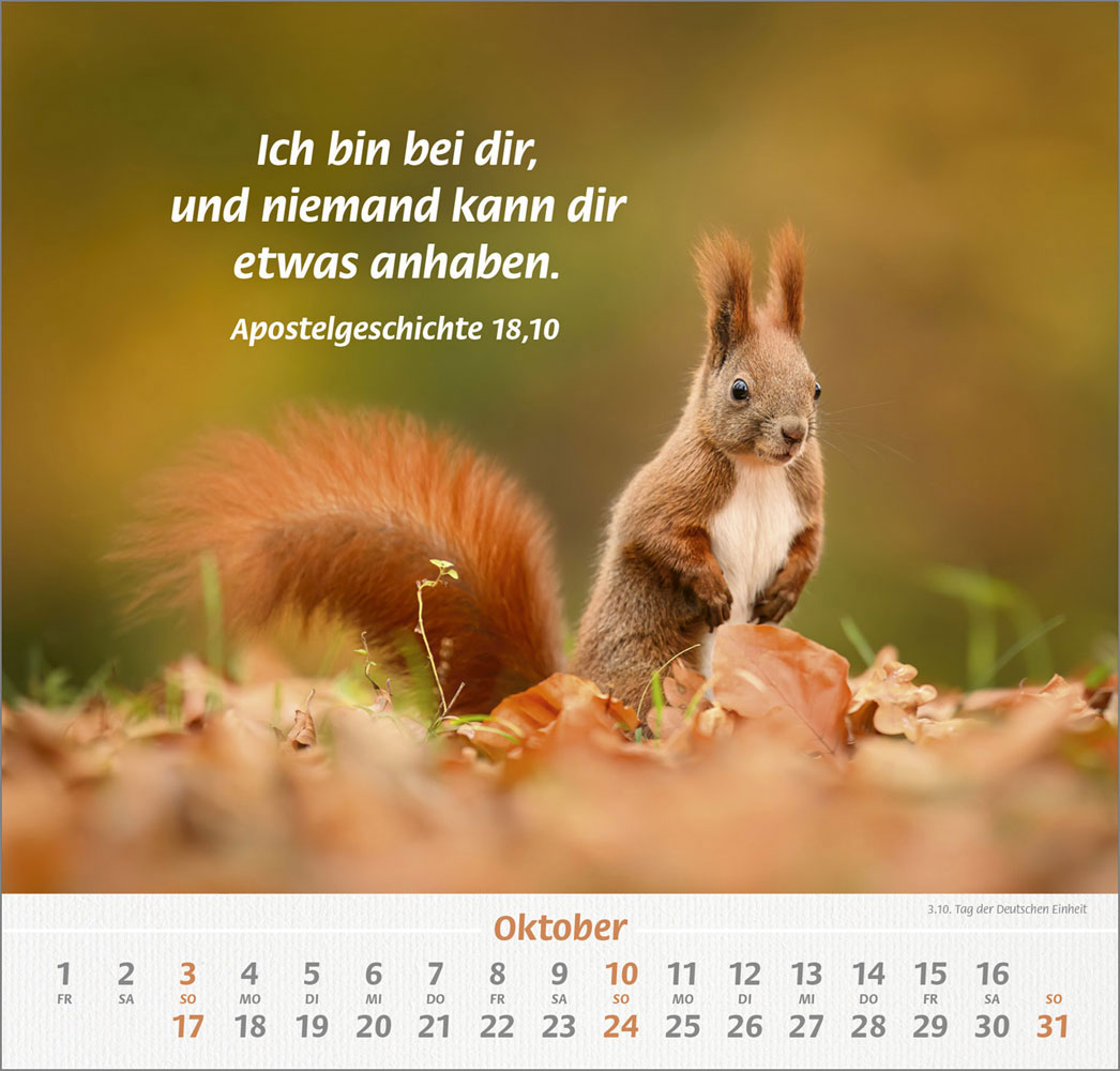 Ich hab dich gern 2027 - Wandkalender