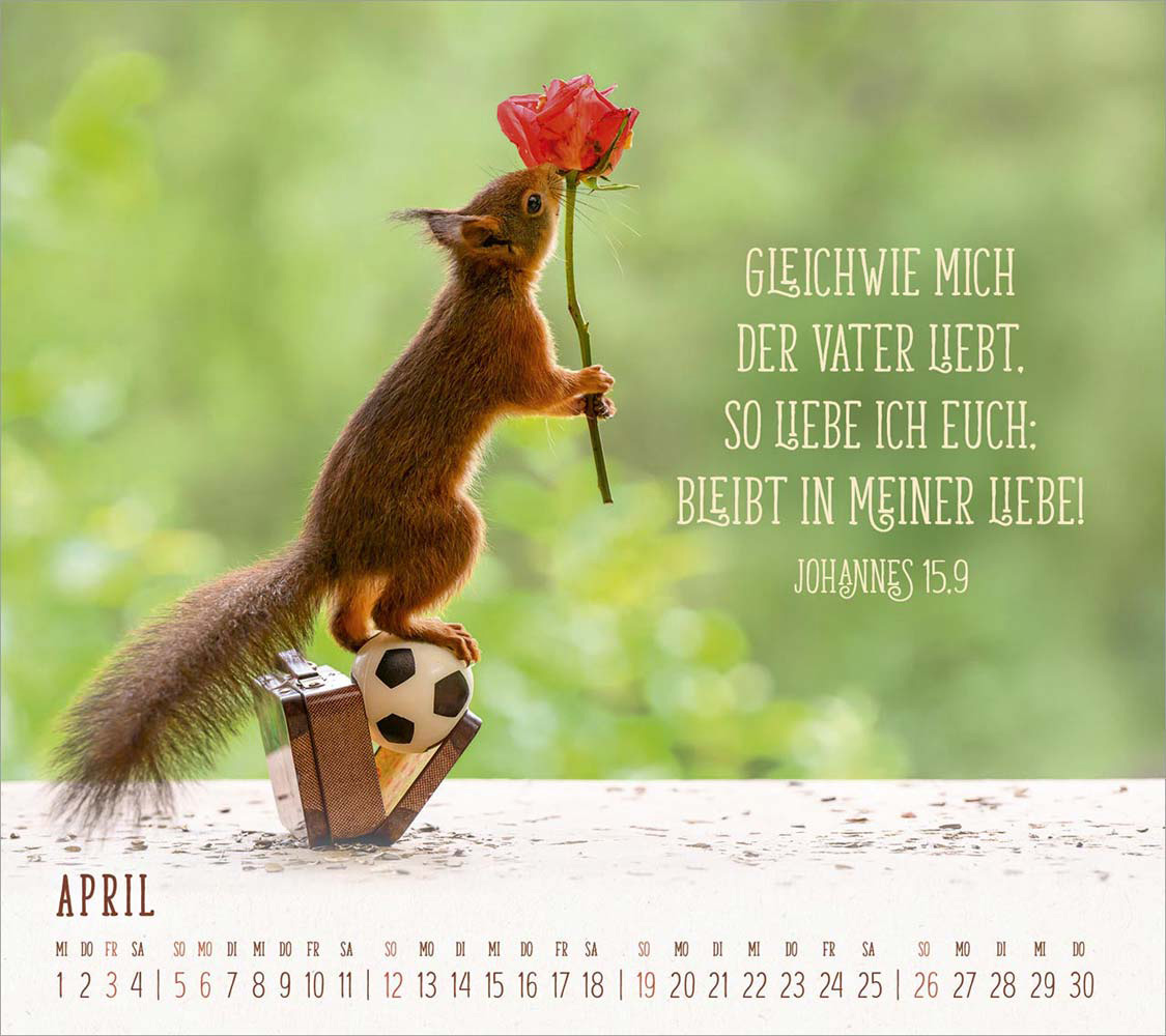Du sorgst für mich 2026