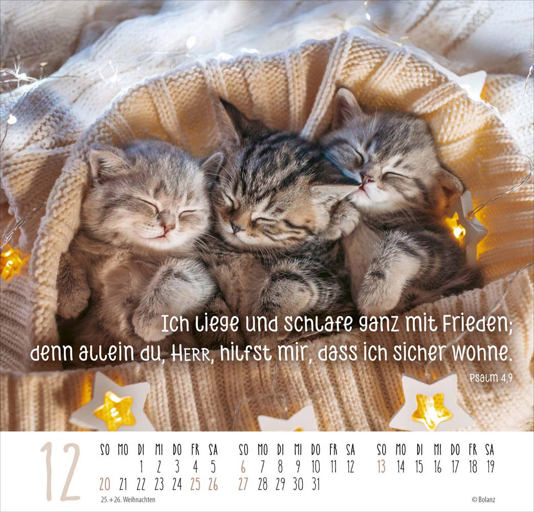 Beste Freunde - Ich mag dich  2026 - Posterkalender