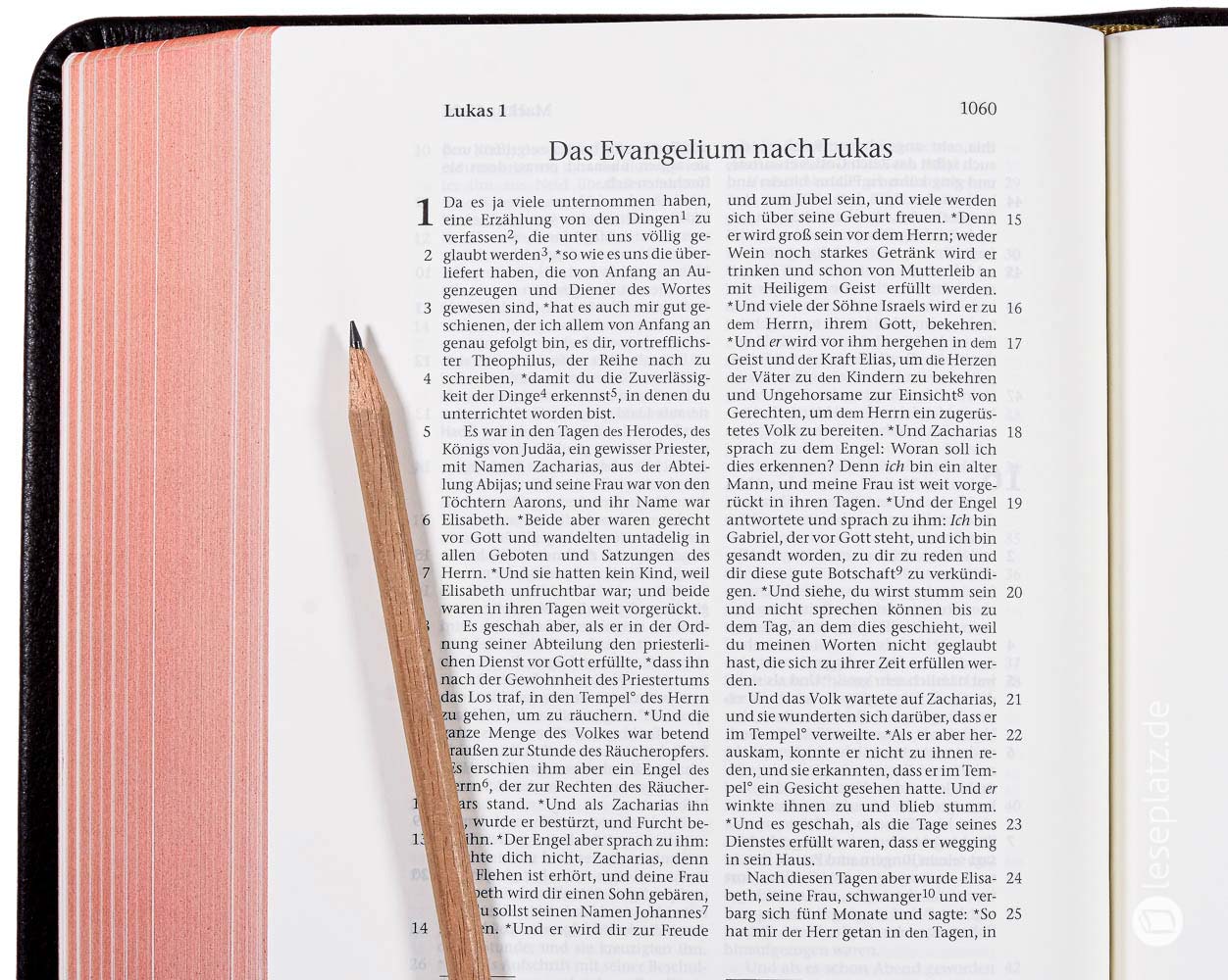 Elberfelder 2003 - kl.Schreibrandausgabe / Leder dunkelbraun Rotgoldschnitt