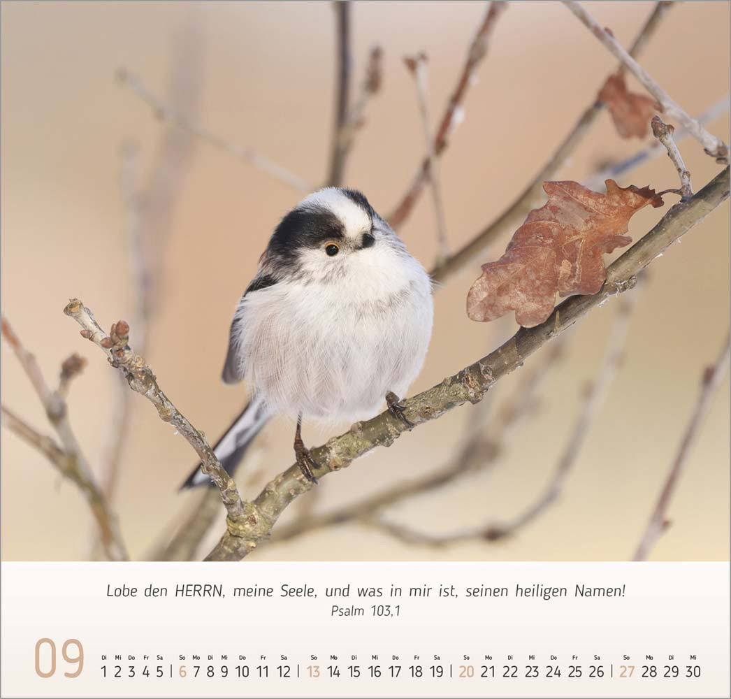 Gesichter der Natur 2026 Gesichter der Natur 2026