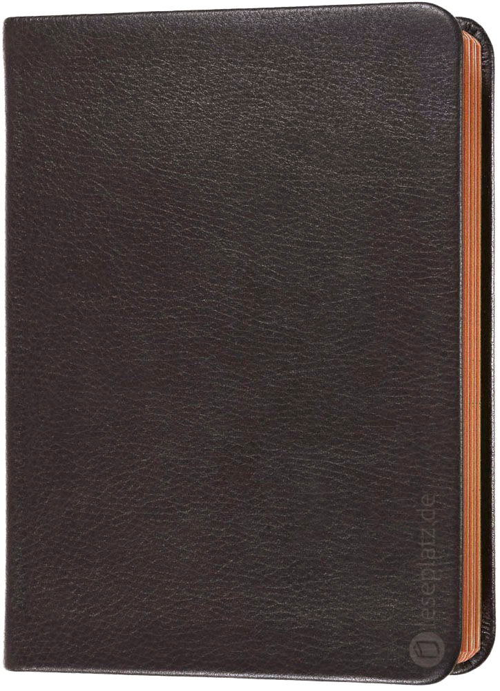 Elberfelder 2003 - gr.Schreibrandausgabe / Leder dunkelbraun Rotgoldschnitt