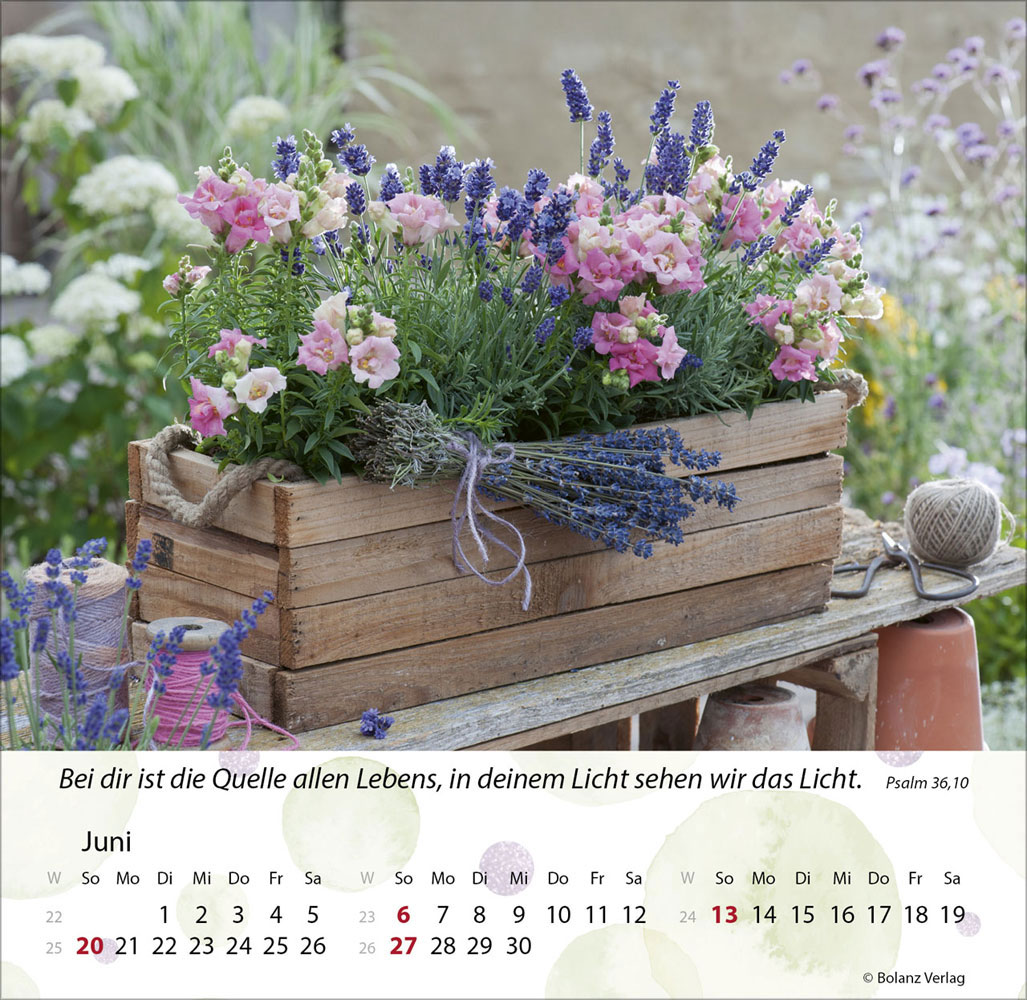 Gärten 2027 - Tischkalender
