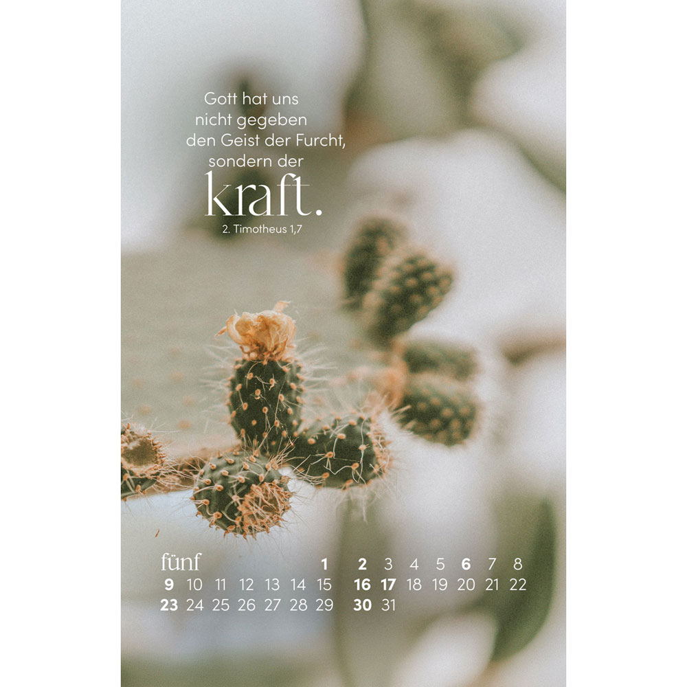 Sein Wort. Dein Fels. 2027 - Postkartenkalender mit Holzaufsteller
