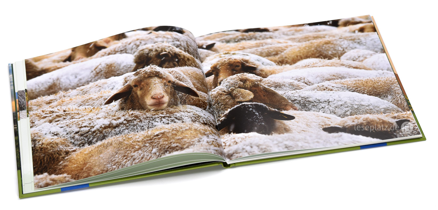 179565_05-Der_gute_Hirte Der gute Hirte und Psalm 23 - Bildband