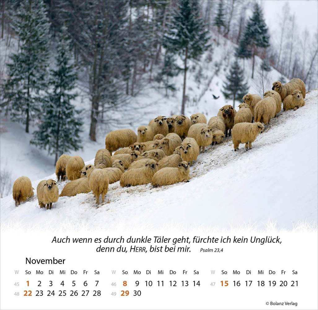 Ein Leben für die Schafe 2026 - Verteilkalender