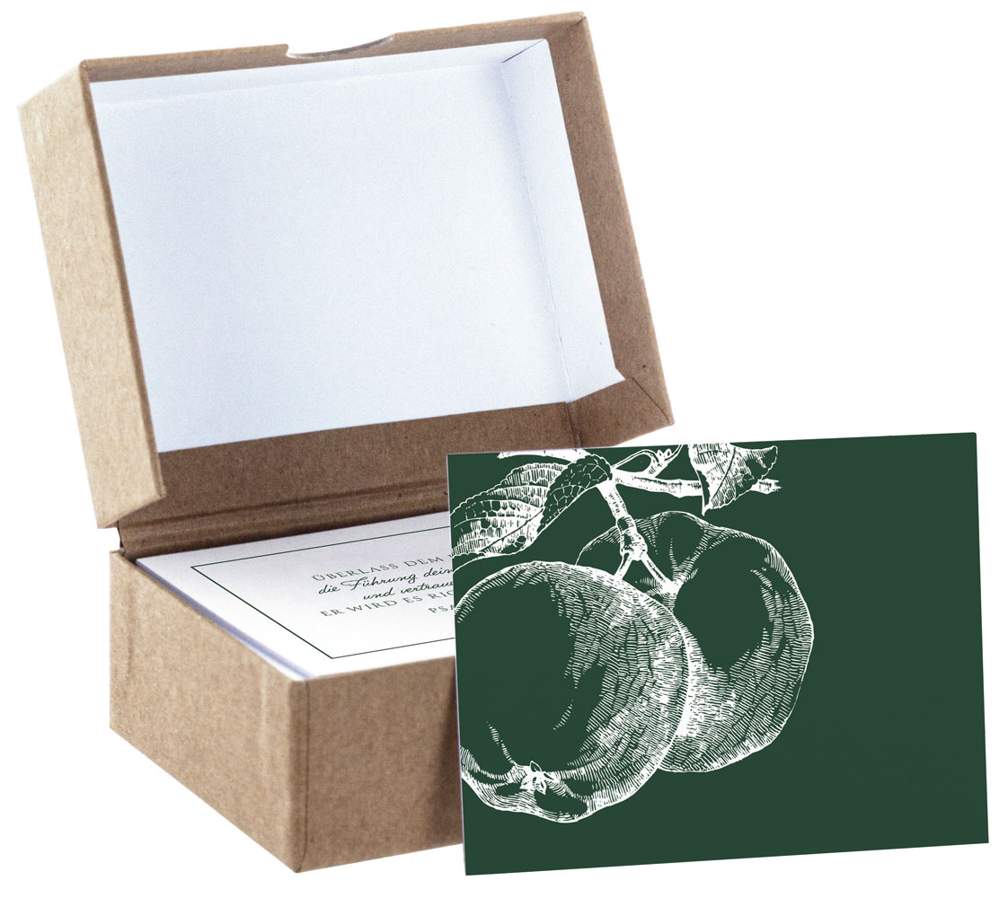 Jeder Tag ist ein Geschenk - 50 ermutigende Bibelworte