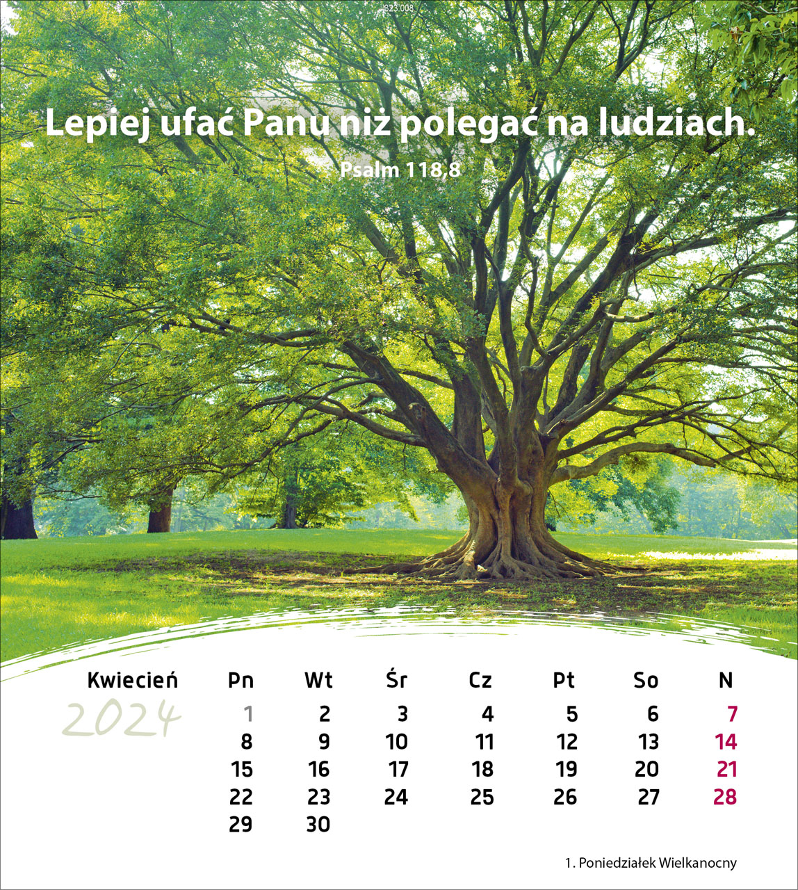 Leben für Dich 2024 - Postkartenkalender Leben für Dich 2024 - Postkartenkalender